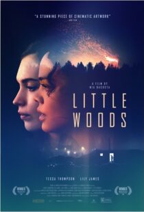 دانلود فیلم Little Woods 201822292-1720724137