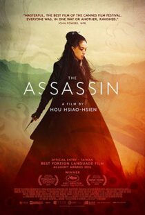 دانلود فیلم The Assassin 201513760-2117030203
