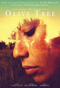 دانلود فیلم The Olive Tree 201615934-1382331327