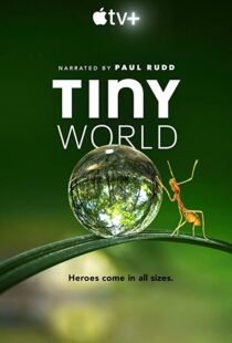 دانلود مستند Tiny World52124-1420233257
