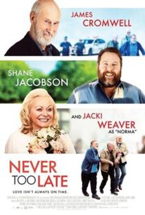دانلود فیلم Never Too Late 202055190-1362718763