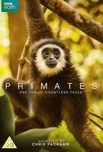 دانلود مستند Primates77865-124136121