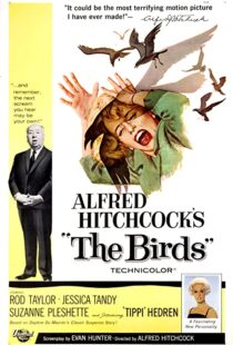 دانلود فیلم The Birds 196382372-465614571