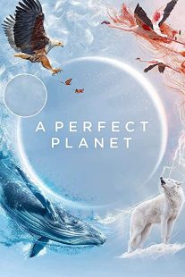 دانلود مستند A Perfect Planet231098-1897295633