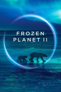 دانلود مستند Frozen Planet II268784-1061823047