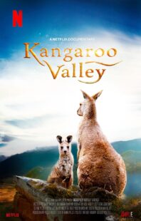 دانلود فیلم Kangaroo Valley 2022322977-87915477