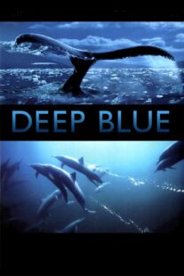 دانلود فیلم Deep Blue 2003333037-744842095