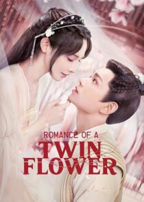 دانلود سریال Romance of a Twin Flower379211-792318360