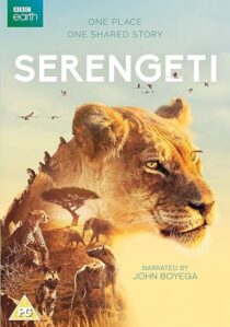 دانلود سریال Serengeti378761-837768552