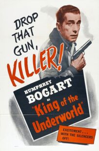 دانلود فیلم King of the Underworld 1939399475-1873277954