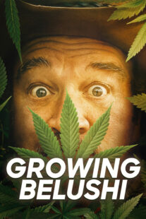 دانلود سریال Growing Belushi400424-471307542