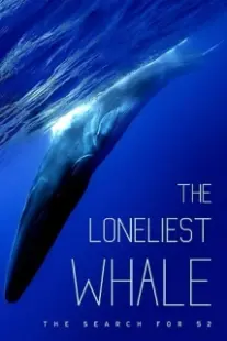 دانلود فیلم The Loneliest Whale: The Search for 52 2021403098-383395359