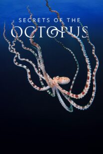 دانلود سریال Secrets of the Octopus401286-34202644