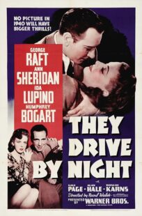 دانلود فیلم They Drive by Night 1940411221-2102973736