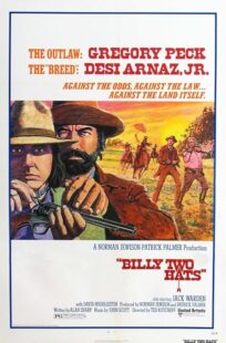 دانلود فیلم Billy Two Hats 1974411057-256398559