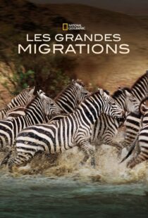 دانلود مستند Great Migrations417146-1329854402