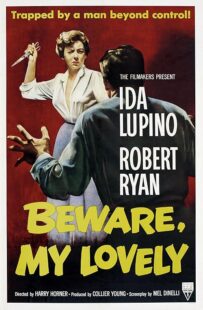 دانلود فیلم Beware, My Lovely 1952420627-1594651059