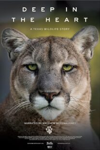 دانلود مستند Deep in the Heart: A Texas Wildlife Story 2022421545-549268434
