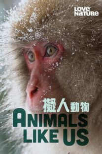 دانلود مستند Animals Like Us423066-1842997353