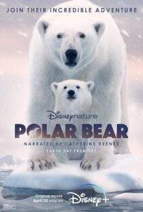 دانلود مستند Polar Bear 2022422974-1037603078