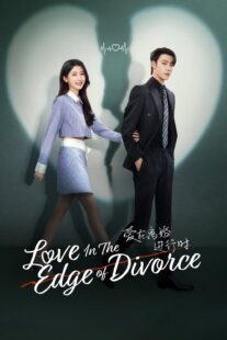 دانلود سریال Love in the Edge of Divorce426889-619922159