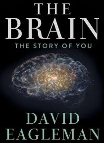 دانلود سریال The Brain with Dr. David Eagleman428613-2091052768
