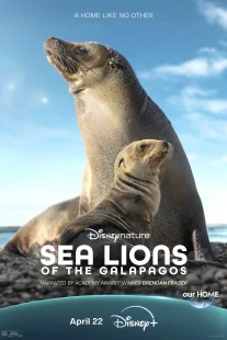 دانلود مستند Sea Lions of the Galapagos 2025431056-1376623534